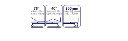 Three-Function Electric Bed Functional Positions Diagram