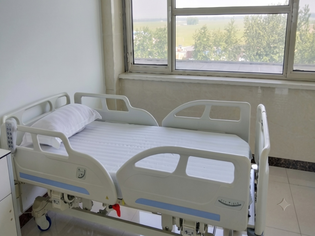 Five-Function ICU Bed Image 1
